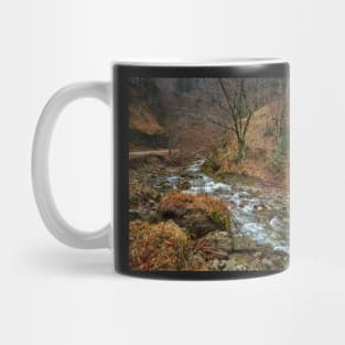 River in the mountains Mug